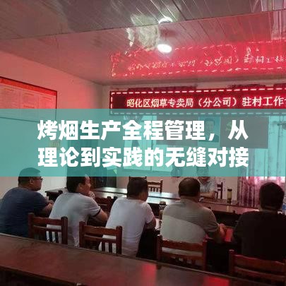 烤煙生產(chǎn)全程管理，從理論到實踐的無縫對接