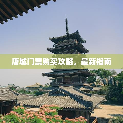 唐城門票購買攻略，最新指南