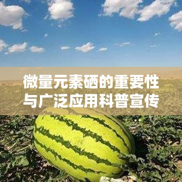 微量元素硒的重要性與廣泛應(yīng)用科普宣傳啟動(dòng)！