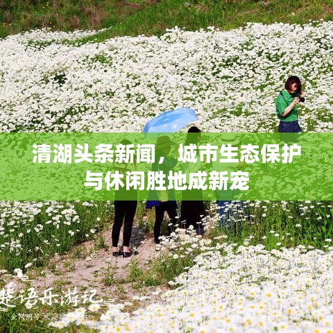 清湖頭條新聞，城市生態(tài)保護與休閑勝地成新寵