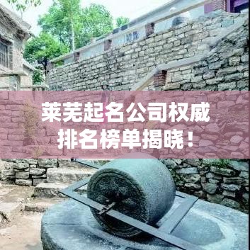 萊蕪起名公司權(quán)威排名榜單揭曉！