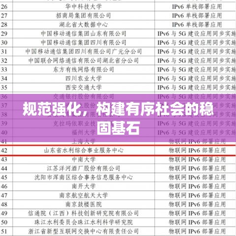 規(guī)范強(qiáng)化，構(gòu)建有序社會(huì)的穩(wěn)固基石