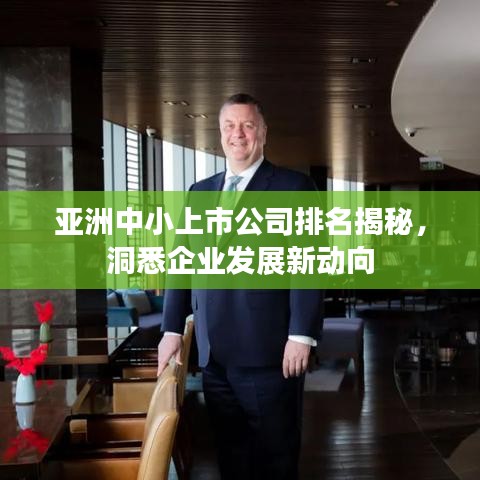 亞洲中小上市公司排名揭秘，洞悉企業(yè)發(fā)展新動向