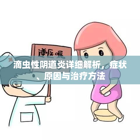 滴蟲性陰道炎詳細(xì)解析，癥狀、原因與治療方法