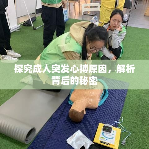 探究成人突發(fā)心搏原因，解析背后的秘密