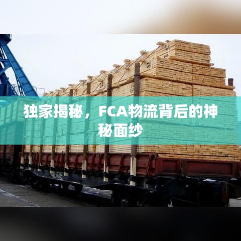 獨(dú)家揭秘，F(xiàn)CA物流背后的神秘面紗