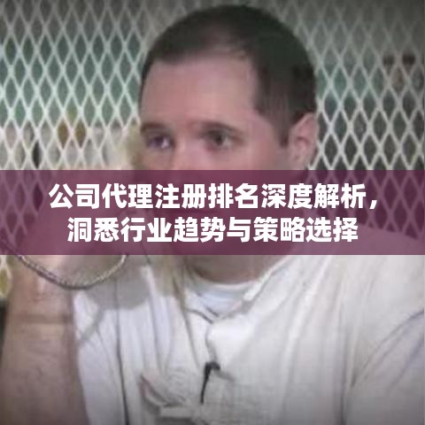 公司代理注冊(cè)排名深度解析，洞悉行業(yè)趨勢(shì)與策略選擇