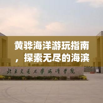 黃驊海洋游玩指南，探索無盡的海濱魅力！