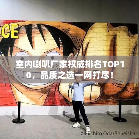 室內(nèi)喇叭廠家權(quán)威排名TOP10，品質(zhì)之選一網(wǎng)打盡！