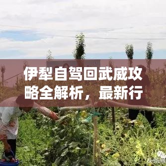 伊犁自駕回武威攻略全解析，最新行程推薦