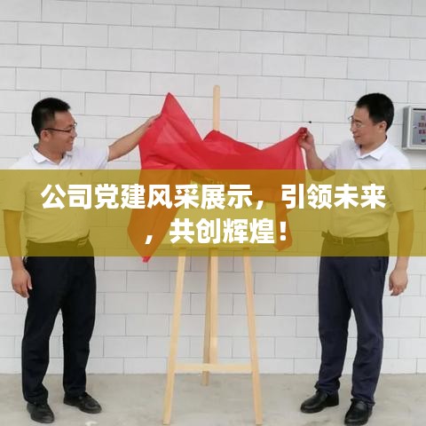 公司黨建風采展示，引領未來，共創(chuàng)輝煌！