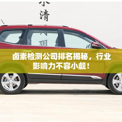 鹵素檢測公司排名揭秘，行業(yè)影響力不容小覷！