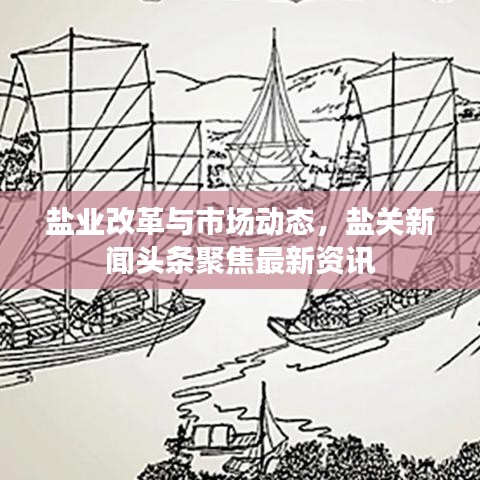 鹽業(yè)改革與市場(chǎng)動(dòng)態(tài)，鹽關(guān)新聞?lì)^條聚焦最新資訊