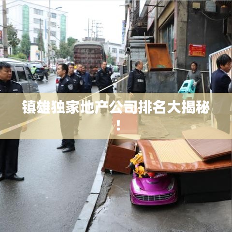 鎮(zhèn)雄獨家地產(chǎn)公司排名大揭秘！