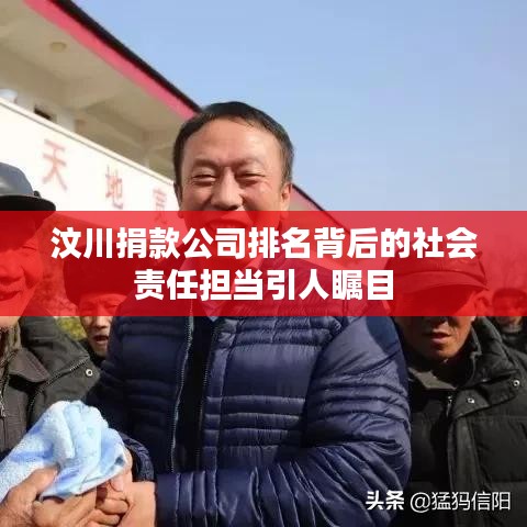汶川捐款公司排名背后的社會責(zé)任擔(dān)當(dāng)引人矚目