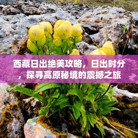 西藏日出絕美攻略，日出時分，探尋高原秘境的震撼之旅