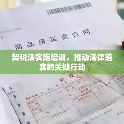 契稅法實(shí)施培訓(xùn)，推動(dòng)法律落實(shí)的關(guān)鍵行動(dòng)