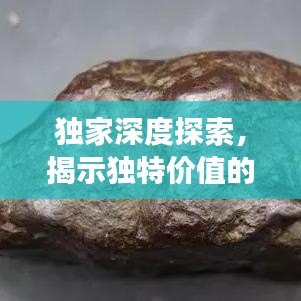 獨(dú)家深度探索，揭示獨(dú)特價(jià)值的奧秘之旅