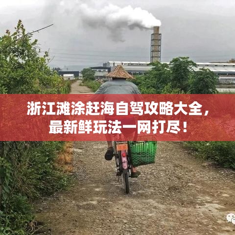 浙江灘涂趕海自駕攻略大全，最新鮮玩法一網(wǎng)打盡！
