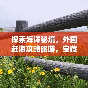 探索海洋秘境，外國趕海攻略旅游，寶藏之旅開啟！