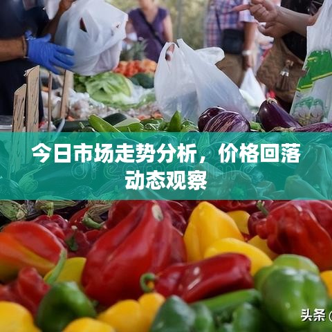 今日市場(chǎng)走勢(shì)分析，價(jià)格回落動(dòng)態(tài)觀察