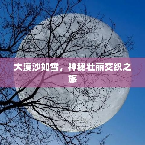 大漠沙如雪，神秘壯麗交織之旅