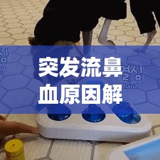 突發(fā)流鼻血原因解析，處理及預防措施全攻略