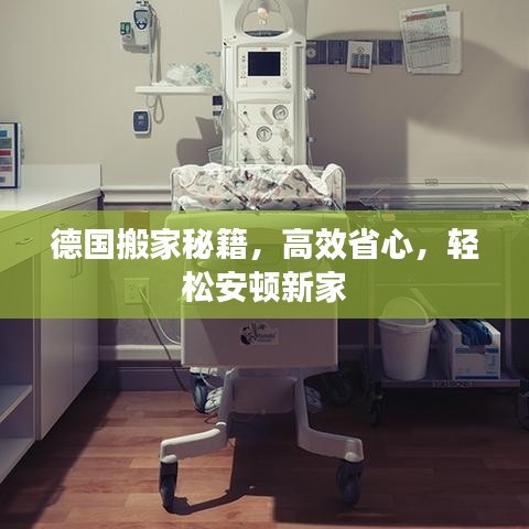德國(guó)搬家秘籍，高效省心，輕松安頓新家