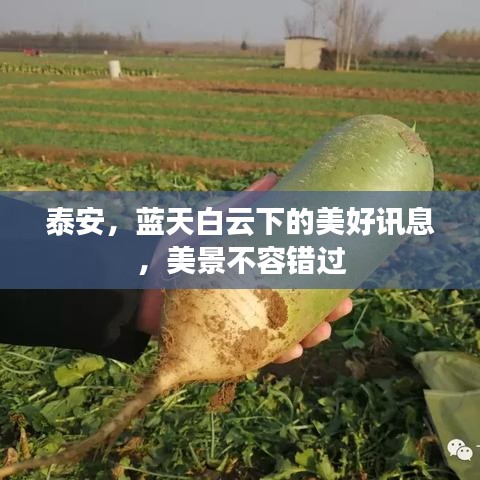 泰安，藍(lán)天白云下的美好訊息，美景不容錯(cuò)過