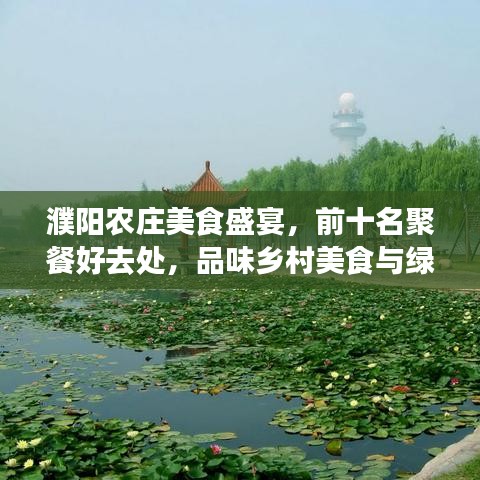 濮陽農(nóng)莊美食盛宴，前十名聚餐好去處，品味鄉(xiāng)村美食與綠意盎然之旅