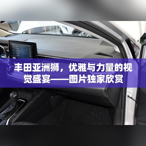 豐田亞洲獅，優(yōu)雅與力量的視覺(jué)盛宴——圖片獨(dú)家欣賞