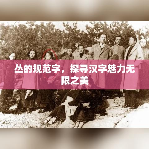 叢的規(guī)范字，探尋漢字魅力無限之美