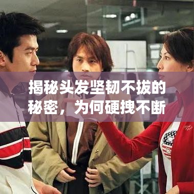 揭秘頭發(fā)堅韌不拔的秘密，為何硬拽不斷？