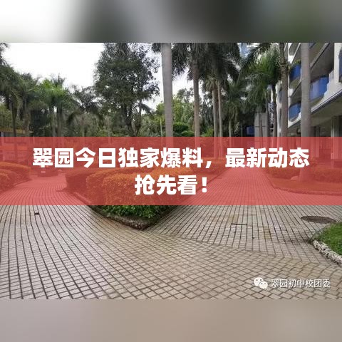 翠園今日獨家爆料，最新動態(tài)搶先看！