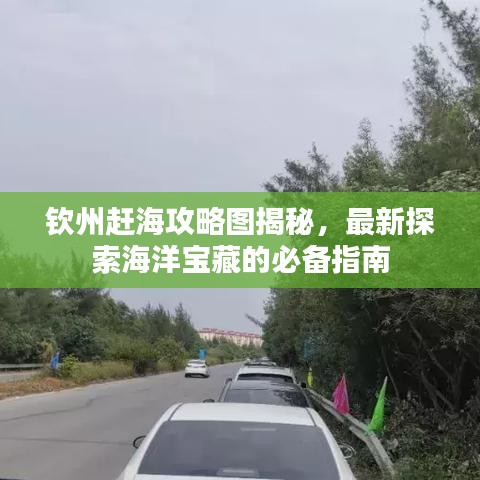欽州趕海攻略圖揭秘，最新探索海洋寶藏的必備指南