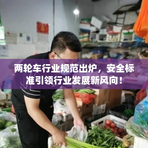 兩輪車行業(yè)規(guī)范出爐，安全標(biāo)準(zhǔn)引領(lǐng)行業(yè)發(fā)展新風(fēng)向！