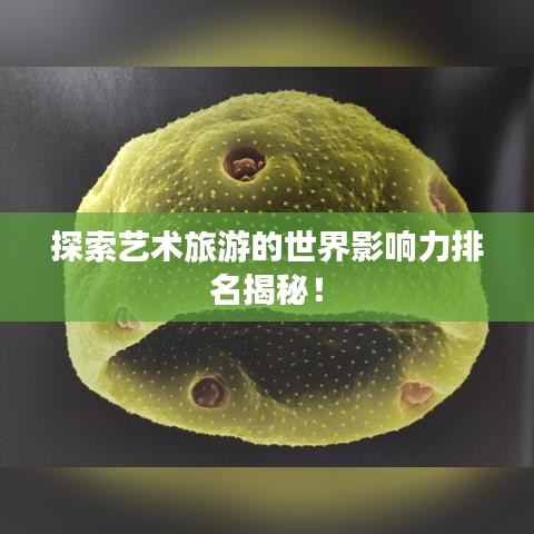 探索藝術(shù)旅游的世界影響力排名揭秘！