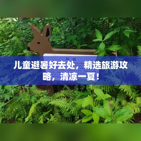 兒童避暑好去處，精選旅游攻略，清涼一夏！
