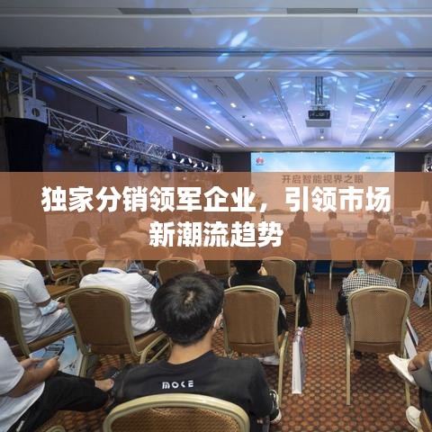 獨(dú)家分銷領(lǐng)軍企業(yè)，引領(lǐng)市場(chǎng)新潮流趨勢(shì)