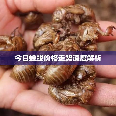 隨時(shí)隨地 第2頁(yè)