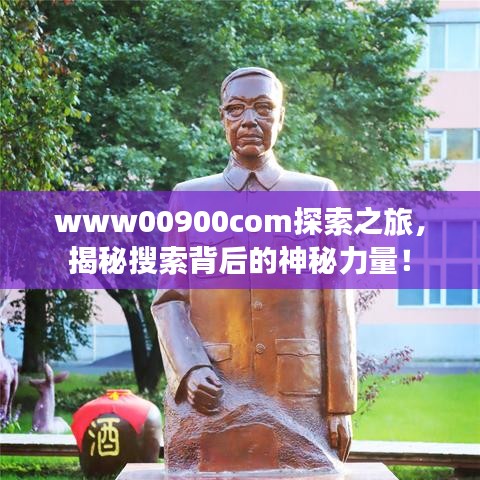 www00900com探索之旅，揭秘搜索背后的神秘力量！