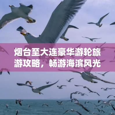 煙臺至大連豪華游輪旅游攻略，暢游海濱風光，盡享海上盛宴！