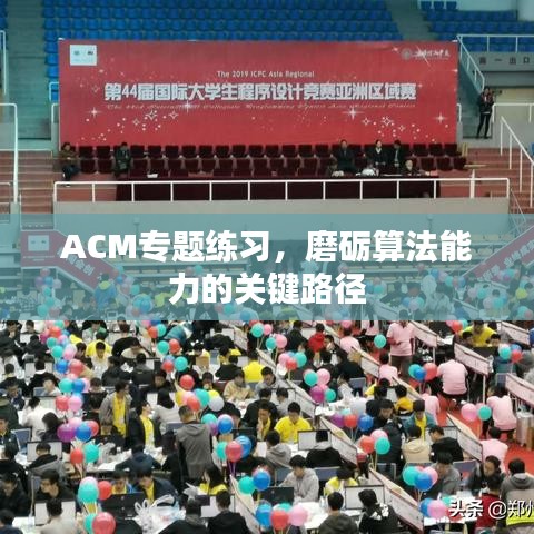 ACM專題練習，磨礪算法能力的關鍵路徑