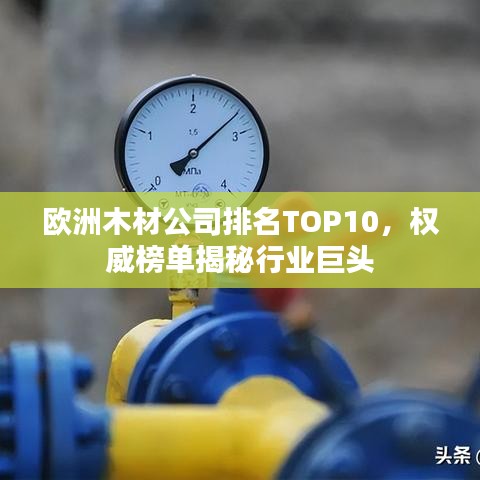 歐洲木材公司排名TOP10，權(quán)威榜單揭秘行業(yè)巨頭