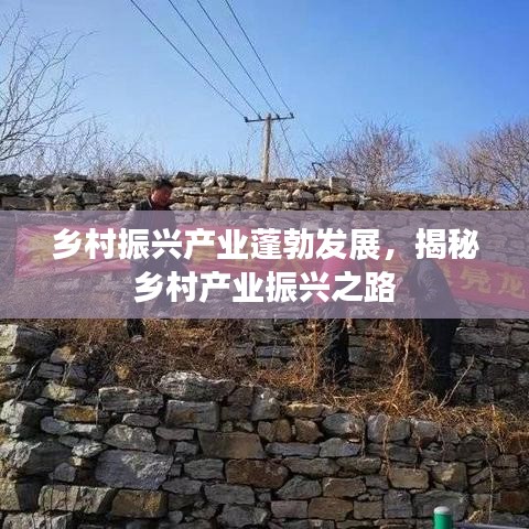 鄉(xiāng)村振興產(chǎn)業(yè)蓬勃發(fā)展，揭秘鄉(xiāng)村產(chǎn)業(yè)振興之路