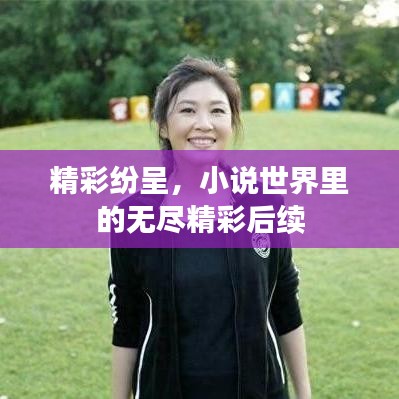 精彩紛呈，小說(shuō)世界里的無(wú)盡精彩后續(xù)