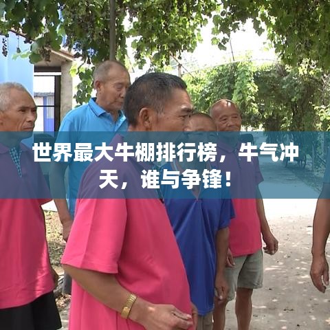 世界最大牛棚排行榜，牛氣沖天，誰與爭(zhēng)鋒！