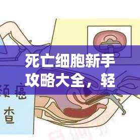 死亡細胞新手攻略大全，輕松上手游戲秘籍！