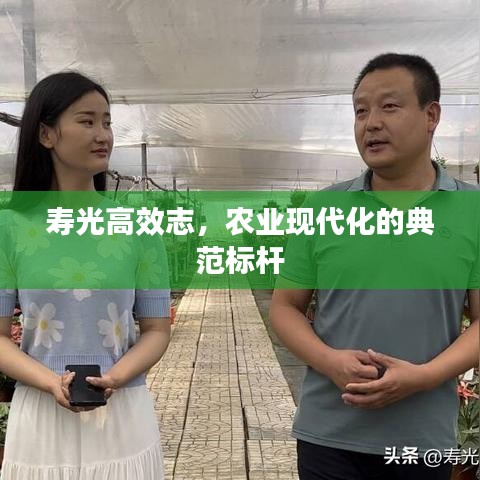 壽光高效志，農(nóng)業(yè)現(xiàn)代化的典范標(biāo)桿