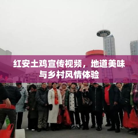 紅安土雞宣傳視頻，地道美味與鄉(xiāng)村風情體驗